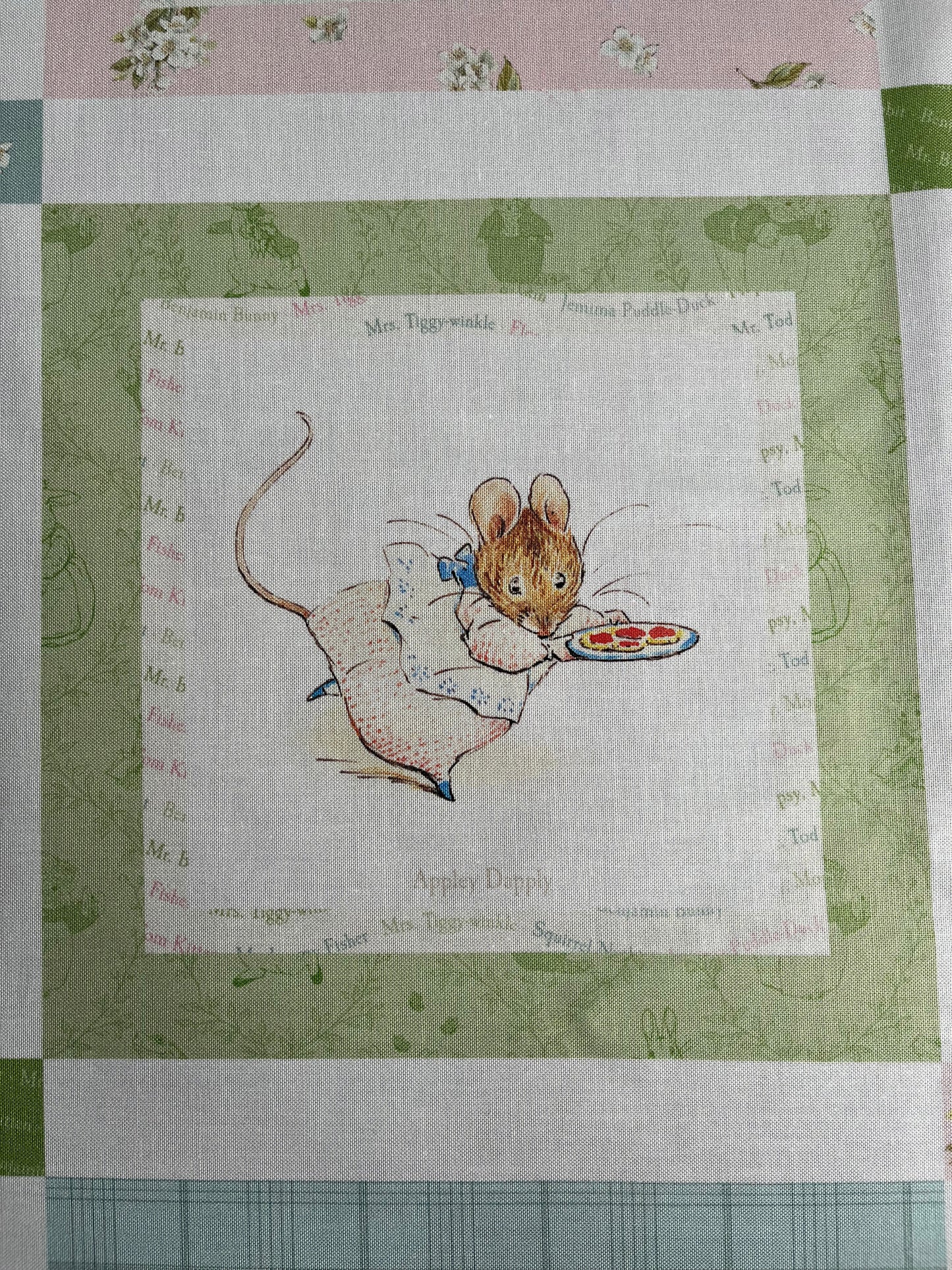 BABY QUILT KIT for Baby Girl - Peter Rabbit™ & Friends-Riley Blake Designs - Finished Size 37"(W)x43"(L)
