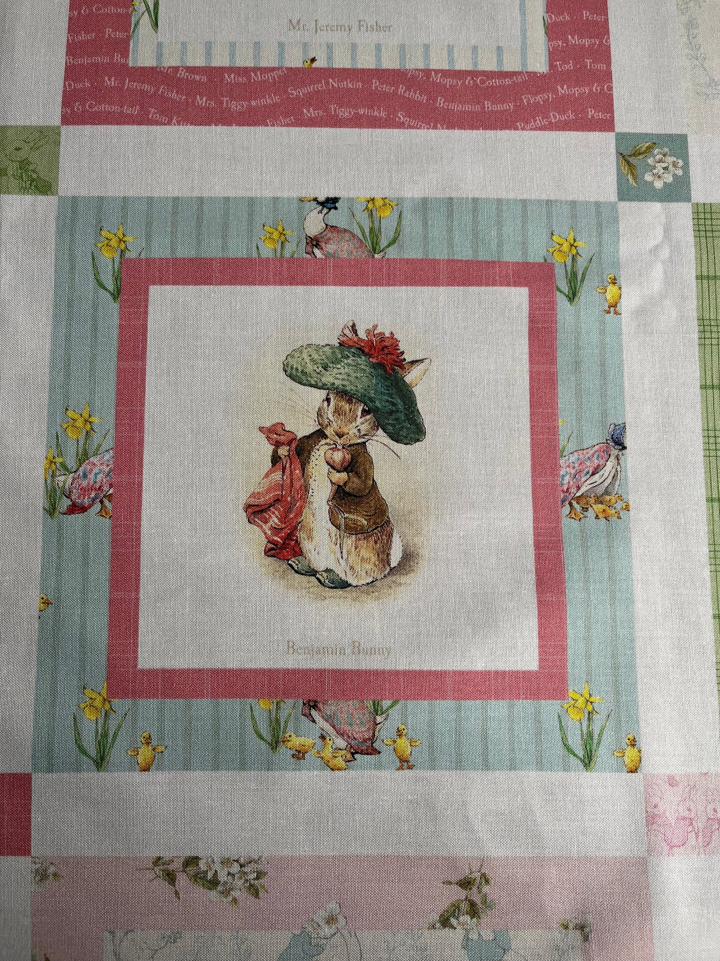 BABY QUILT KIT for Baby Girl - Peter Rabbit™ & Friends-Riley Blake Designs - Finished Size 37"(W)x43"(L)