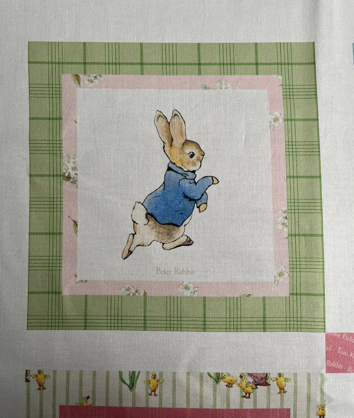 BABY QUILT KIT for Baby Girl - Peter Rabbit™ & Friends-Riley Blake Designs - Finished Size 37"(W)x43"(L)
